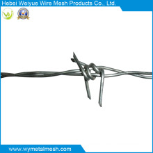 Double Line Barbed Iron Wire for Fence